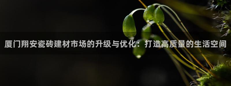 杏鑫注册登录代理