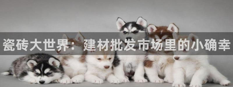 杏鑫平台代理注册