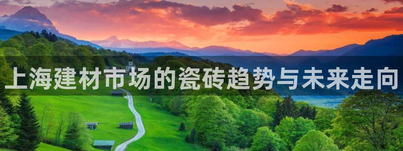 杏鑫注册登录代理