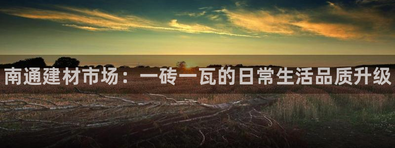 杏鑫注册登录代理