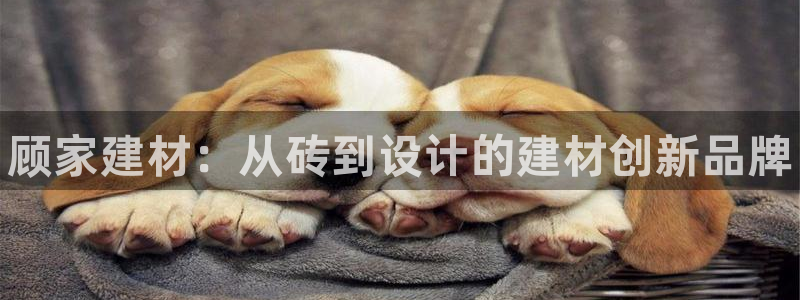 杏鑫平台登录注册