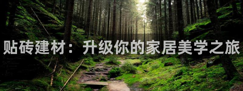 杏鑫平台在线注册怎么注册