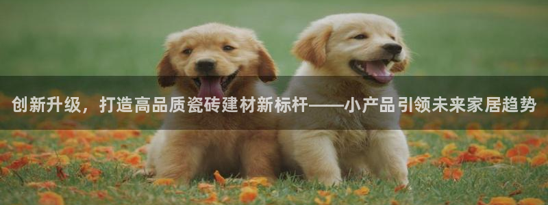 杏鑫平台登录地址查询