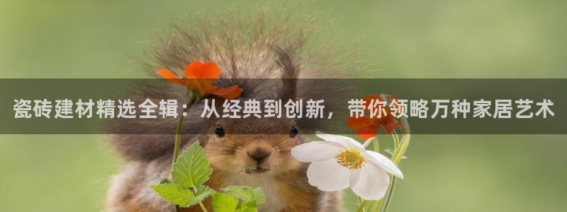 杏鑫官网注册账号怎么注册的