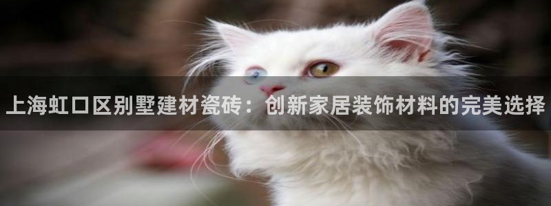 杏鑫平台是黑平台吗