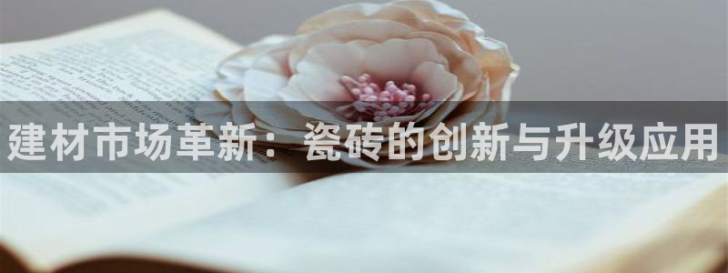 杏鑫平台注册地址在哪里